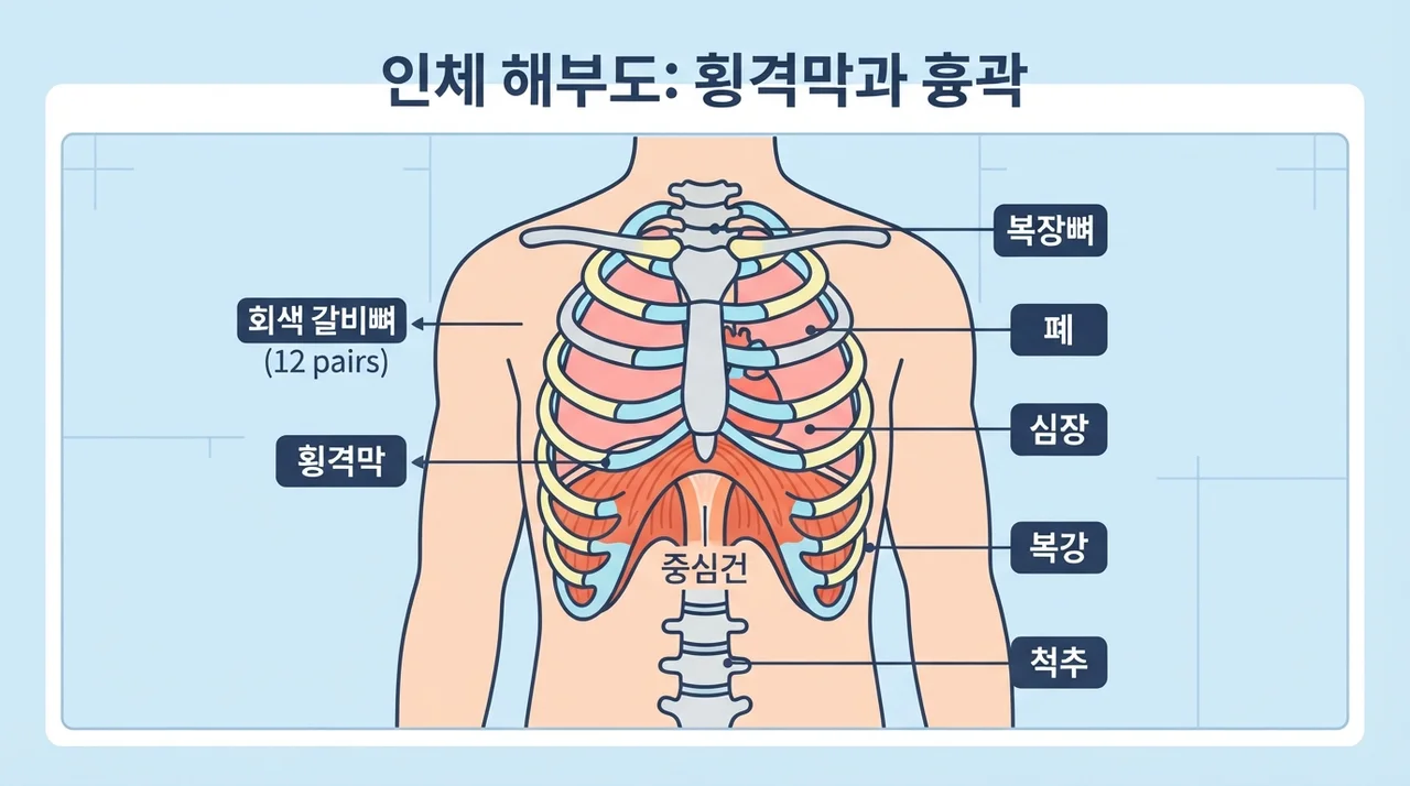 신체 기전으로 보는 증상의 흐름