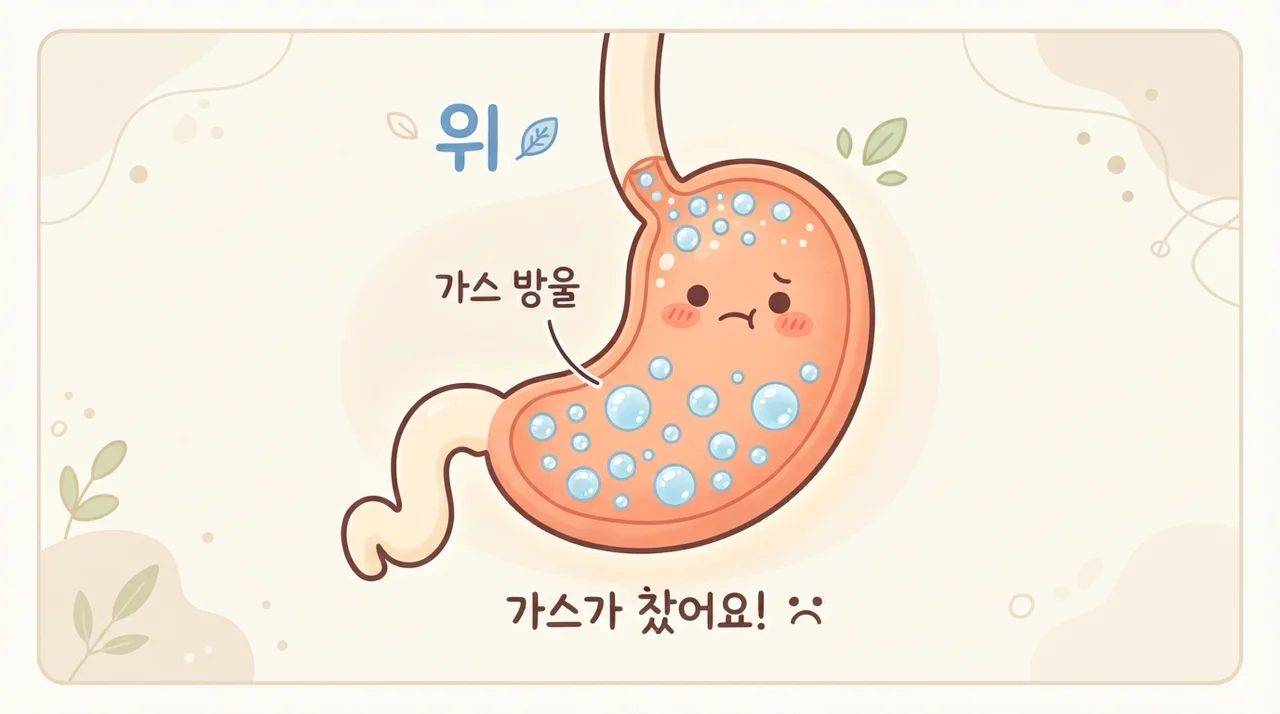 왜 배에 가스가 찰까요?
