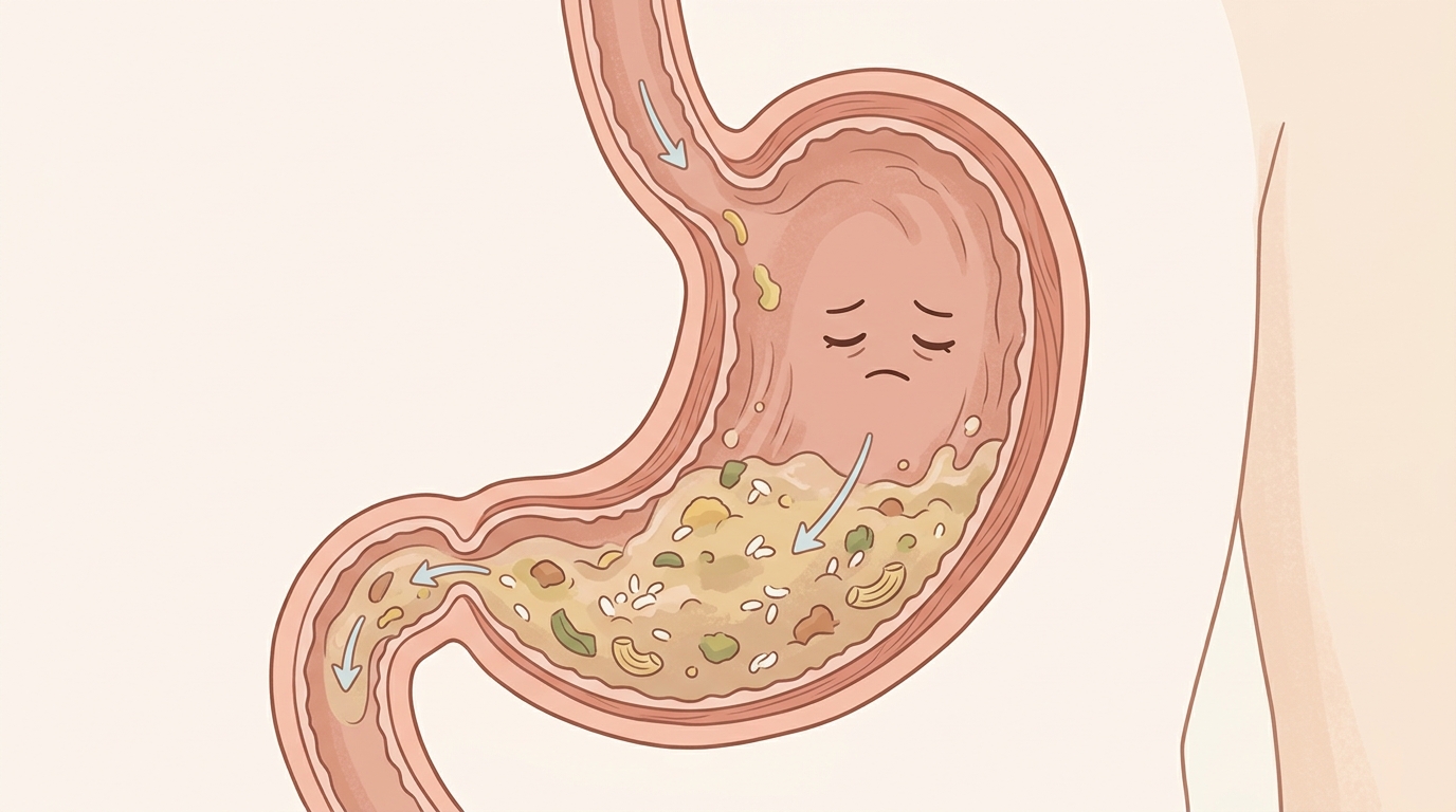 위장은 아직 지난 과식의 뒷정리를 하고 있다