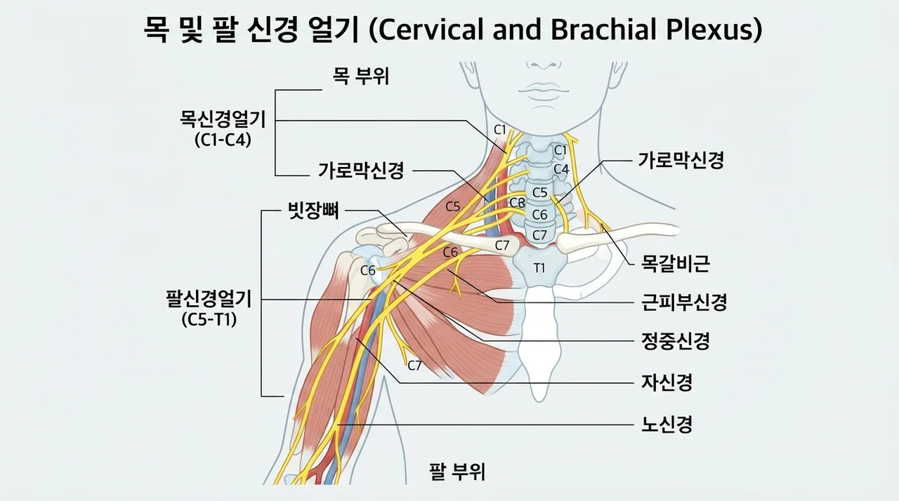 목디스크와의 연관성