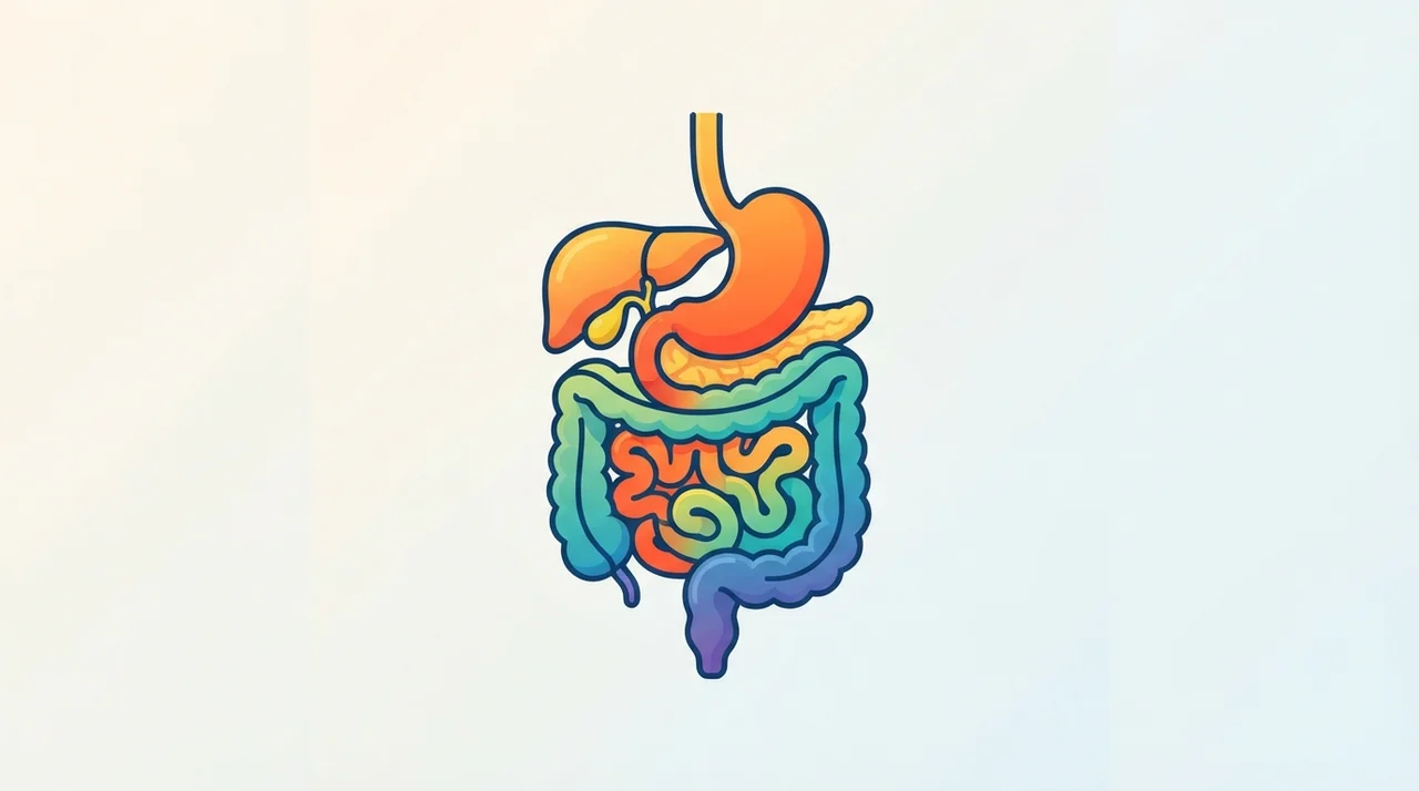 왜 이런 일이 생길까요