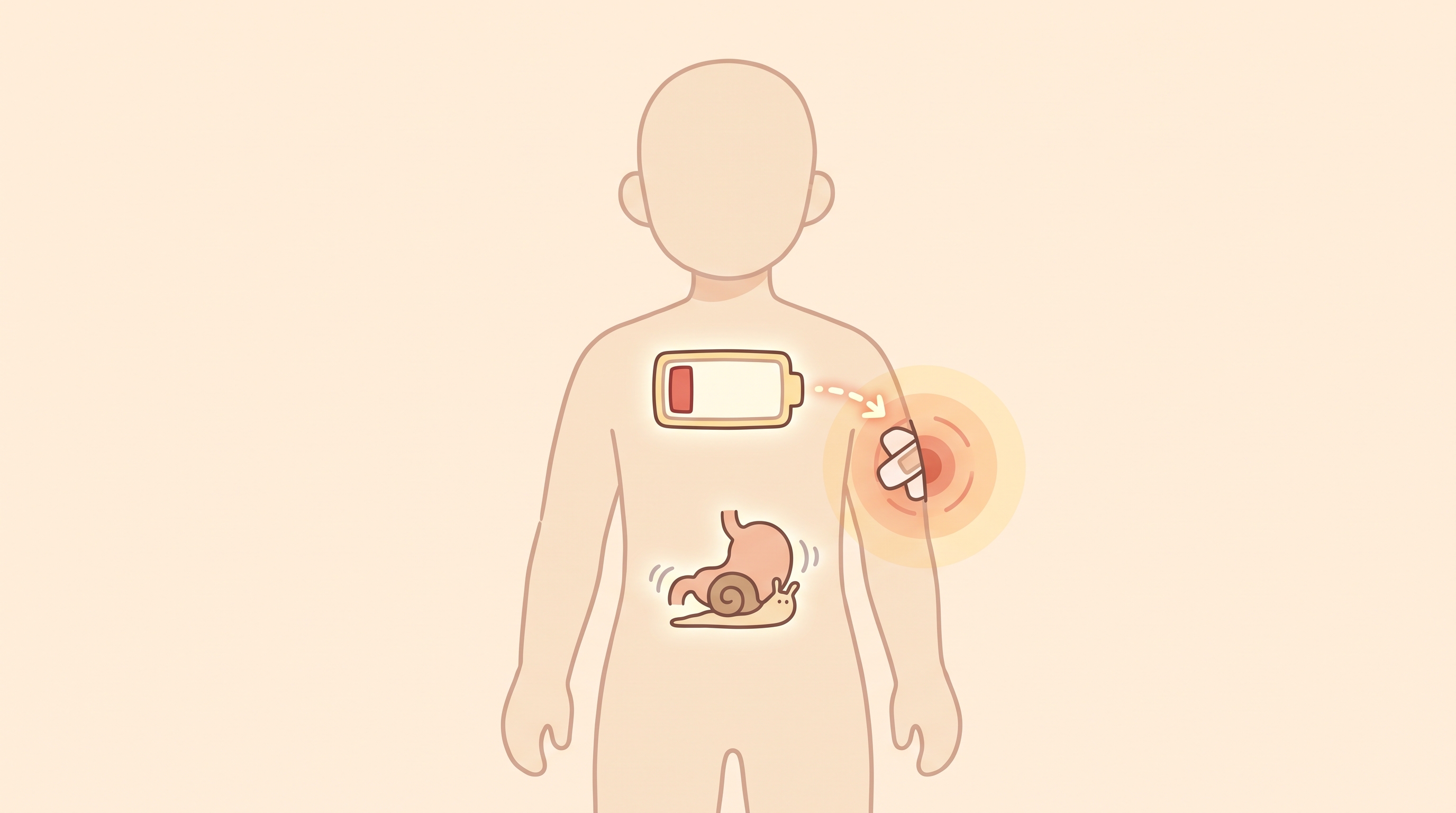몸이 회복에 쏟아부은 에너지가, 아직 다 채워지지 않은 겁니다