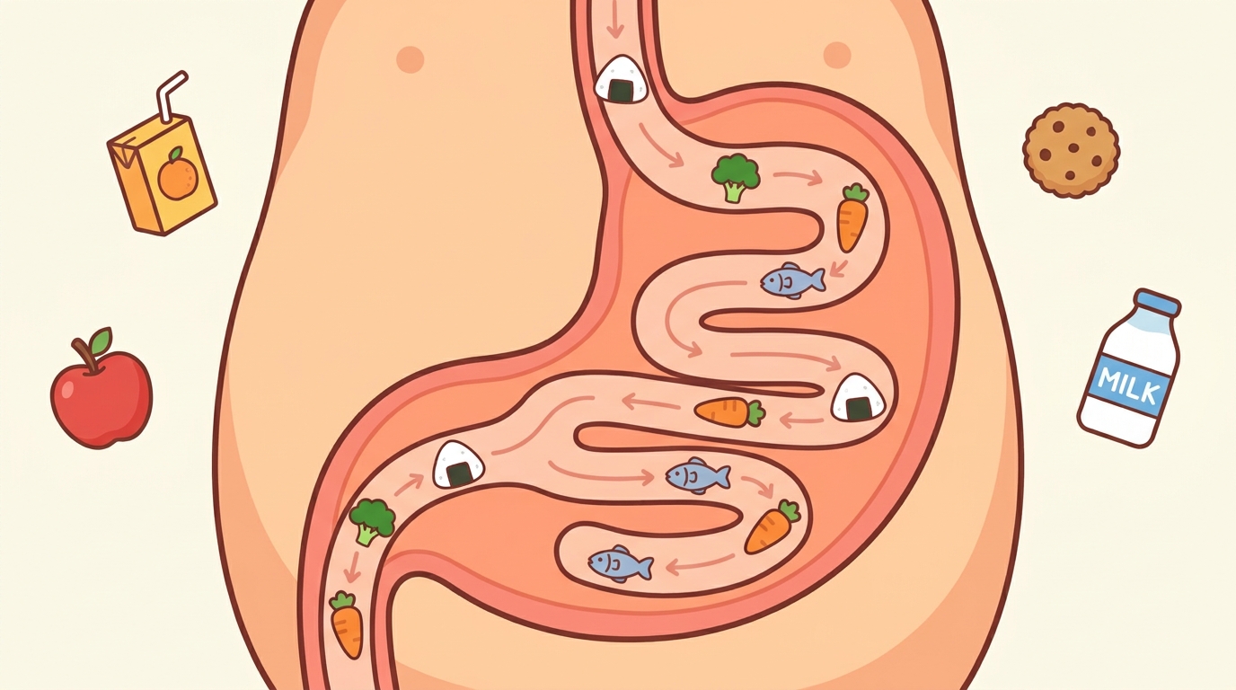 의정부 소아식욕부진 포천한의원 - 왜 안 먹을까, 몸 안에서 벌어지는 일