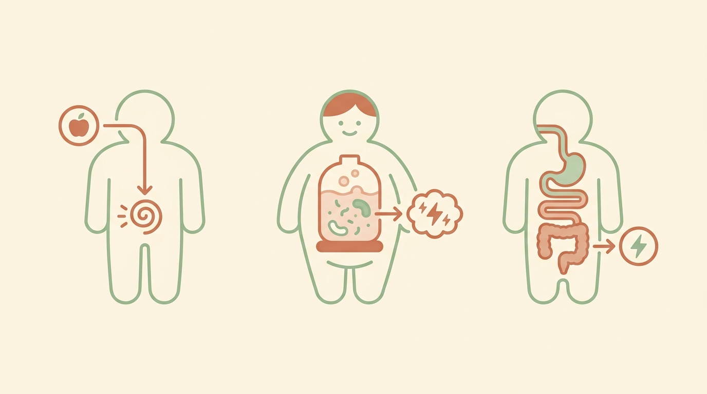 일동 소화불량 일동대영한의원 - 내 더부룩함은 어느 유형일까 — 세 가지로 나눠보기